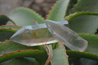 Natural Clear Smokey Quartz Crystals x 12 From Zimbabwe