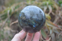 Polished Labradorite Spheres  x 2 From Madagascar