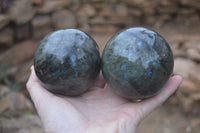 Polished Labradorite Spheres  x 2 From Madagascar