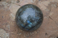 Polished Labradorite Spheres  x 2 From Madagascar