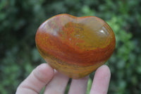 Polished Red Jasper Hearts  x 6 From Southern Africa