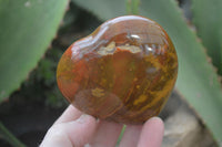 Polished Red Jasper Hearts  x 6 From Southern Africa