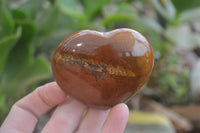 Polished Red Jasper Hearts  x 6 From Southern Africa