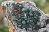 Natural Rare Ball Malachite On Drusy Quartz Dolomite Specimens  x 2 From Congo