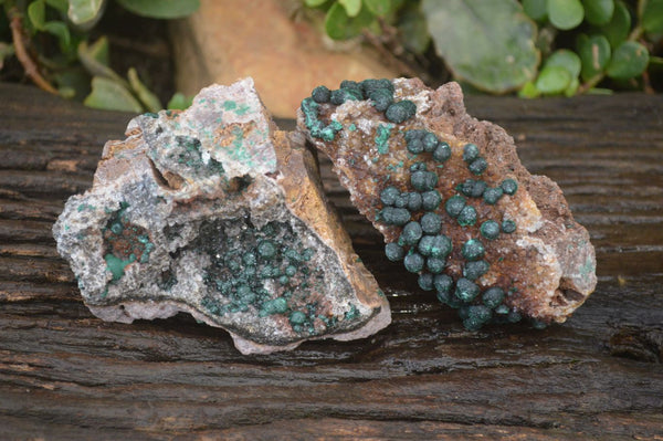 Natural Rare Ball Malachite On Drusy Quartz Dolomite Specimens  x 2 From Congo