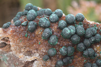 Natural Rare Ball Malachite On Drusy Quartz Dolomite Specimens x 2 From Congo