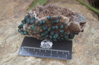 Natural Rare Ball Malachite On Drusy Quartz Dolomite Specimens x 2 From Congo