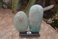 Polished Blue Amazonite Standing Free Forms  x 3 From Madagascar