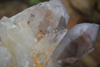 Natural Red Hematite Quartz Specimens  x 2 From Zimbabwe