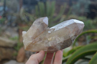 Natural Red Hematite Quartz Specimens  x 2 From Zimbabwe