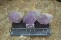 Polished Jacaranda Amethyst Crystals x 20 From Zambia