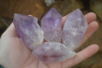 Polished Jacaranda Amethyst Crystals x 20 From Zambia