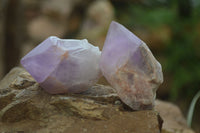 Polished Jacaranda Amethyst Crystals x 20 From Zambia