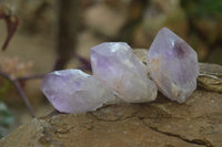 Polished Jacaranda Amethyst Crystals x 20 From Zambia