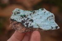 Natural Drusy Chrysocolla & Malachite Dolomite Specimens  x 12 From Congo