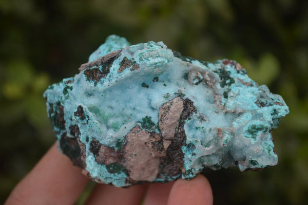 Natural Drusy Chrysocolla & Malachite Dolomite Specimens  x 12 From Congo