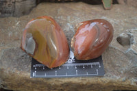 Polished One Side Polished Polychrome Jasper Nodules  x 6 From Madagascar