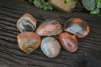 Polished One Side Polished Polychrome Jasper Nodules  x 6 From Madagascar