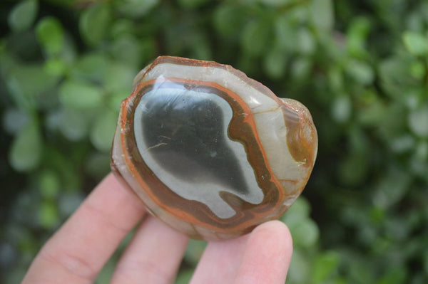 Polished One Side Polished Polychrome Jasper Nodules  x 6 From Madagascar