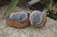 Polished One Side Polished Polychrome Jasper Nodules  x 6 From Madagascar