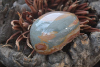 Polished One Side Polished Polychrome Jasper Nodules  x 6 From Madagascar