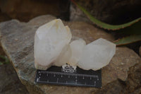 Natural Castle Quartz Specimens x 12 From Madagascar