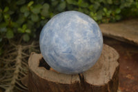 Polished Blue Calcite Sphere  x 1 From Madagascar