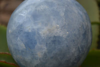 Polished Blue Calcite Sphere  x 1 From Madagascar