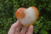 Polished Carnelian Agate Hearts  x 6 From Madagascar