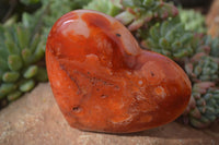 Polished Carnelian Agate Hearts  x 6 From Madagascar