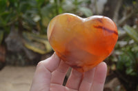 Polished Carnelian Agate Hearts  x 6 From Madagascar