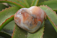 Polished Carnelian Agate Hearts  x 6 From Madagascar