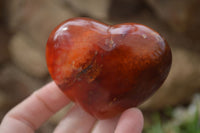 Polished Carnelian Agate Hearts  x 6 From Madagascar