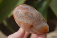 Polished Carnelian Agate Hearts  x 6 From Madagascar