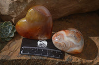 Polished Carnelian Agate Hearts  x 6 From Madagascar