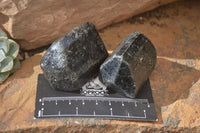 Natural Schorl Black Tourmaline Specimens  x 12 From Zimbabwe