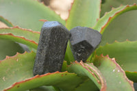 Natural Schorl Black Tourmaline Specimens  x 12 From Zimbabwe