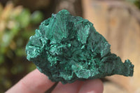 Natural Chatoyant Silky Malachite Specimens  x 12 From Congo