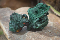 Natural Chatoyant Silky Malachite Specimens  x 12 From Congo