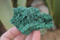 Natural Chatoyant Silky Malachite Specimens  x 12 From Congo