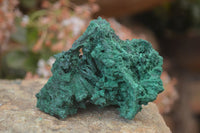 Natural Chatoyant Silky Malachite Specimens  x 12 From Congo