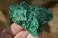 Natural Chatoyant Silky Malachite Specimens  x 12 From Congo