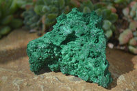 Natural Chatoyant Silky Malachite Specimens  x 12 From Congo