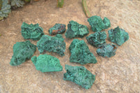 Natural Chatoyant Silky Malachite Specimens  x 12 From Congo