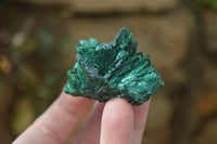 Natural Chatoyant Silky Malachite Specimens  x 12 From Congo