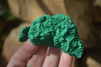 Natural Chatoyant Silky Malachite Specimens  x 12 From Congo