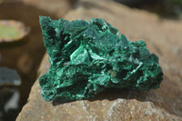 Natural Chatoyant Silky Malachite Specimens  x 12 From Congo