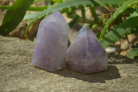 Polished Window Amethyst Crystals x 6 From Madagascar