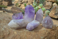 Polished Window Amethyst Crystals x 6 From Madagascar