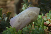 Polished Window Amethyst Crystals x 6 From Madagascar